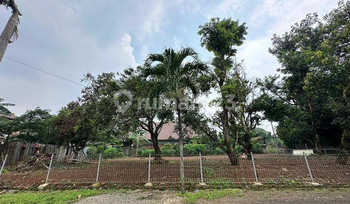 Selling Land Plots Selling Land Plots