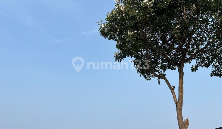 Kavling Woodland Kotak Bagus Hanya 9 Juta Kavling Woodland Kotak Bagus Hanya 9 Juta