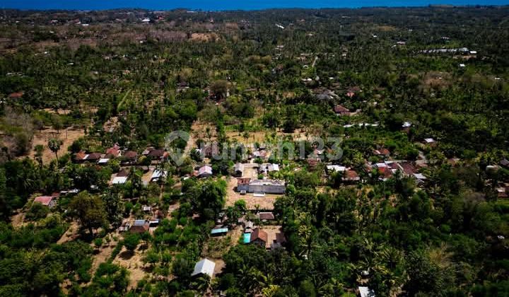 Tanah Dan Bangunan Sarang Walet Di Singaraja