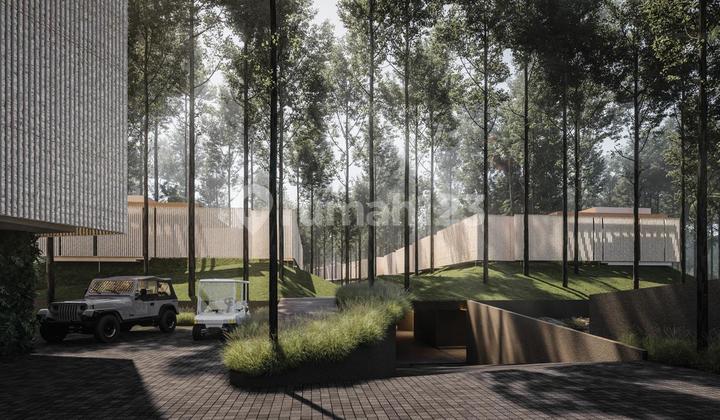 Wellness Luxury Villa & Apartment In Canggu