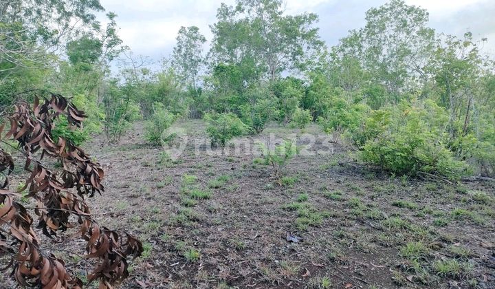 For Rent Tanah Strategis Di Ungasan For Rent Tanah Strategis Di Ungasan