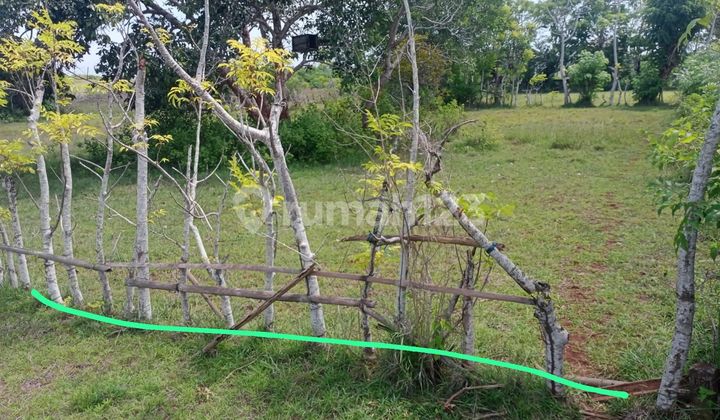 Tanah Murah Di Uluwatu