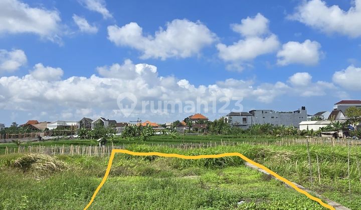 Jual Cepat Tanah Strategis Di Jl Gunung Salak Jual Cepat Tanah Strategis Di Jl Gunung Salak