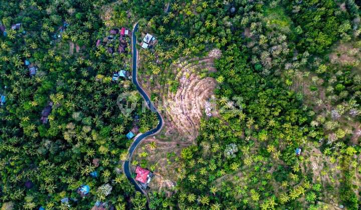 Tanah View Bagus Di Tejakula Cocok Untuk Resort Atau Villa