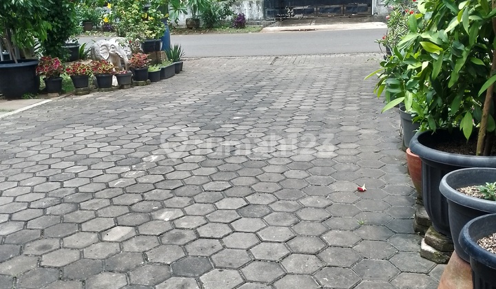 Luxury House Ready to Occupy in Diskum Plot Luxury House Ready to Occupy in Diskum Plot