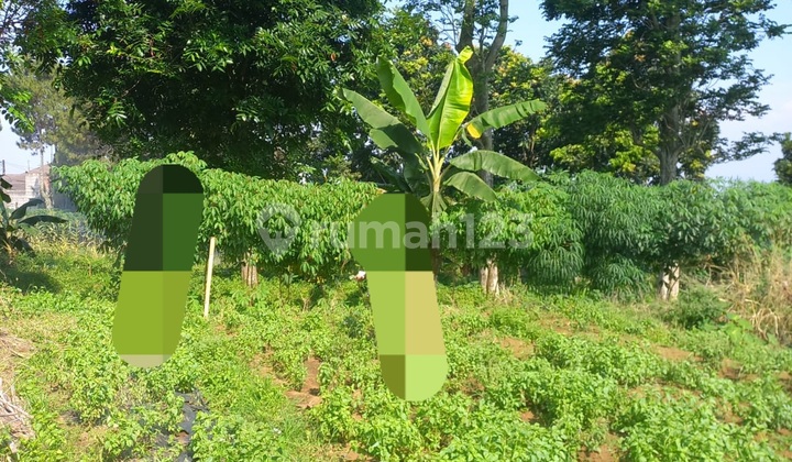 Land for Sale in Katumiri Cihnjuang Complex. Land for Sale in Katumiri Cihnjuang Complex.