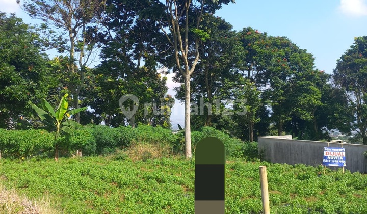Land for Sale in Katumiri Cihnjuang Complex. Land for Sale in Katumiri Cihnjuang Complex.