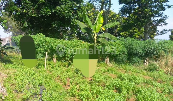 For sale, land inside Katumuri Cihanjuang complex.