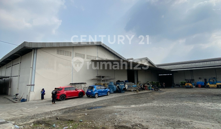 Cikupa Warehouse Location Near Griya Idola Good and Tidy Condition Cikupa Warehouse Location Near Griya Idola Good and Tidy Condition