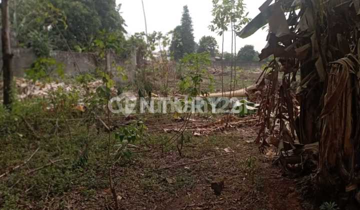 DIJUAL TANAH KAVLING Lokasi : Jl.Raya Parung Kec. Kemang Kab.Bogor Jawa Barat. DIJUAL TANAH KAVLING Lokasi : Jl.Raya Parung Kec. Kemang Kab.Bogor Jawa Barat.