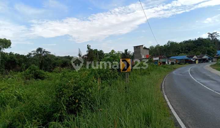 Lahan Murah Pinggir Jalan Poros Balikpapan -samboja Lahan Murah Pinggir Jalan Poros Balikpapan -samboja