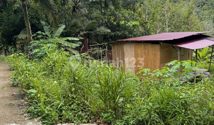 Tanah Murah Lokasi Kilo 9 Dekat Dengan Jalan Poros Tanah Murah Lokasi Kilo 9 Dekat Dengan Jalan Poros