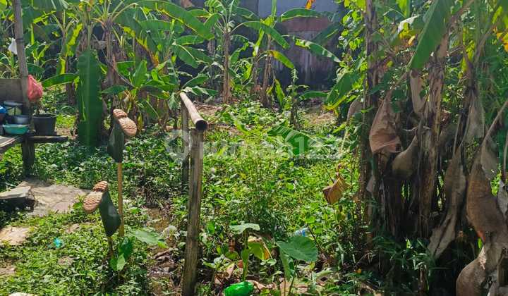 Land in North Kuta SHM 300.0 M² Ready Land in North Kuta SHM 300.0 M² Ready