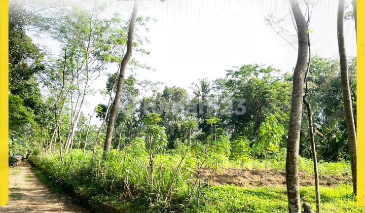 TANAH KALIWUNGU SEMARANG 1