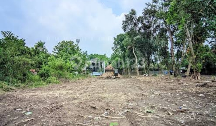 [Luas 3590 M²] Tanah Kavling Dekat Jalan Raya, Jogja Yogyakarta