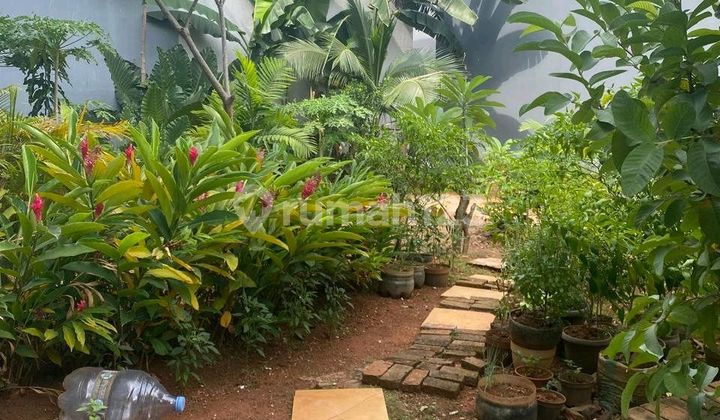 Dijual Kavling Residencial. Puri Botanical Residence. Dijual Kavling Residencial. Puri Botanical Residence.