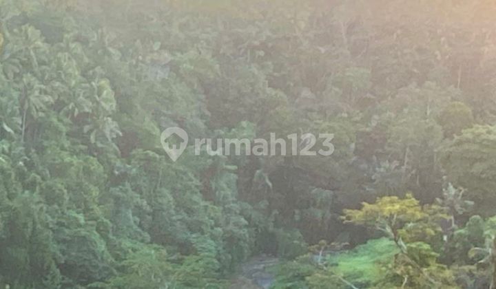 Land for Sale Location Kedewatan Land for Sale Location Kedewatan
