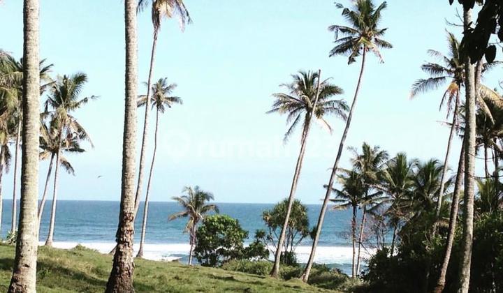 Tanah Jual Lokasi Balian Tanah Jual Lokasi Balian