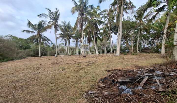 Land for Sale in Klecung Location