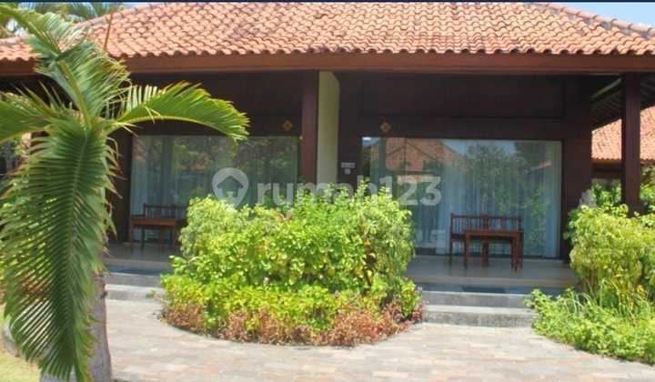 Resort Jual Lokasi Pemuteran 2