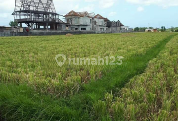 Tanah Lokasi Pererenan