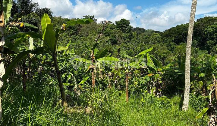 Tanah Jual Lokasi Singakerta