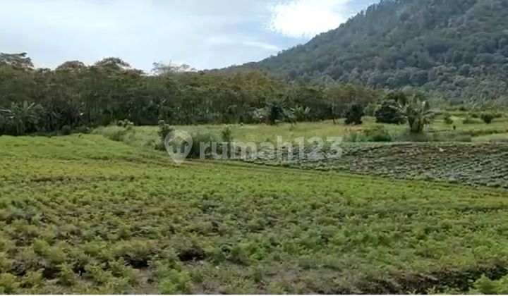 Land for Sale in Gesing Area
