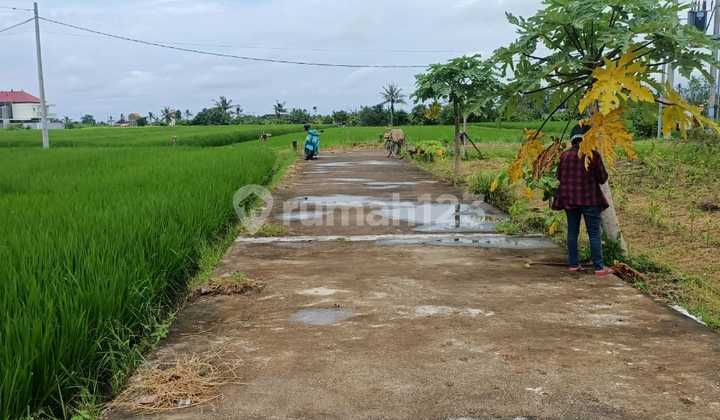 Land for Sale Location Kedungu