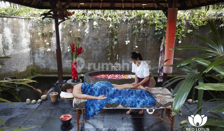 Villa Jual Lokasi Payangan 2