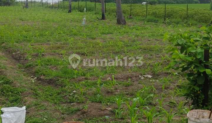 Tanah Jual Lokasi Pasut