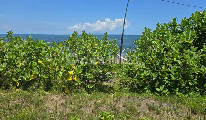 Tanah Jual Lokasi Ketewel