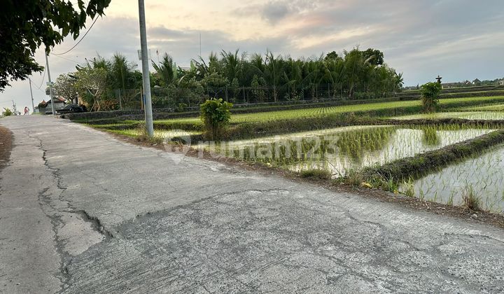 Tanah Jual Lokasi Nyanyi Tanah Jual Lokasi Nyanyi