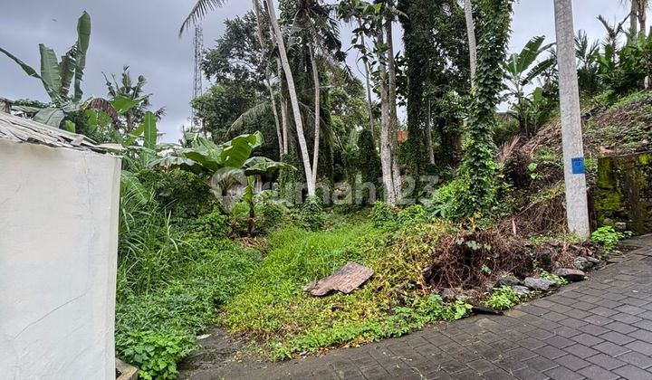 Tanah Jual Lokasi Singakerta