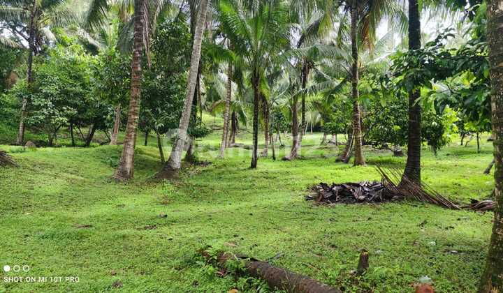 Tanah Jual Lokasi Lalanglinggah Tanah Jual Lokasi Lalanglinggah