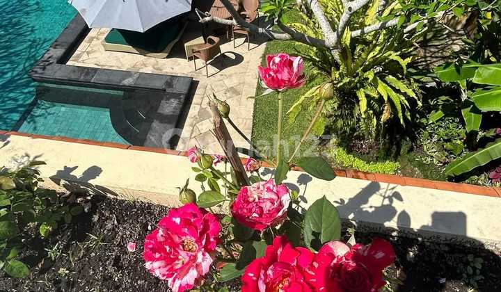 Villa for Sale Location Ubud 2