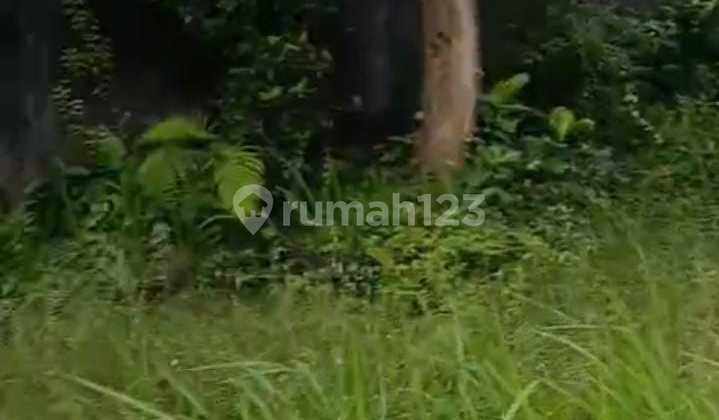 Tanah Jual Lokasi Sayan