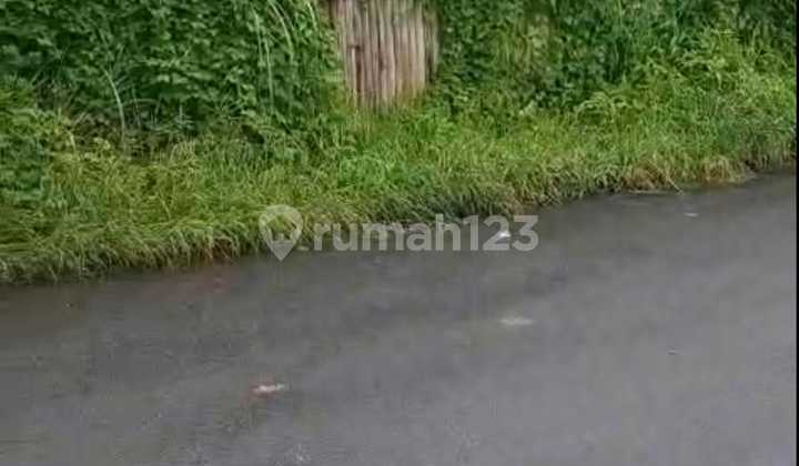 Tanah Jual Lokasi Ubud Tanah Jual Lokasi Ubud