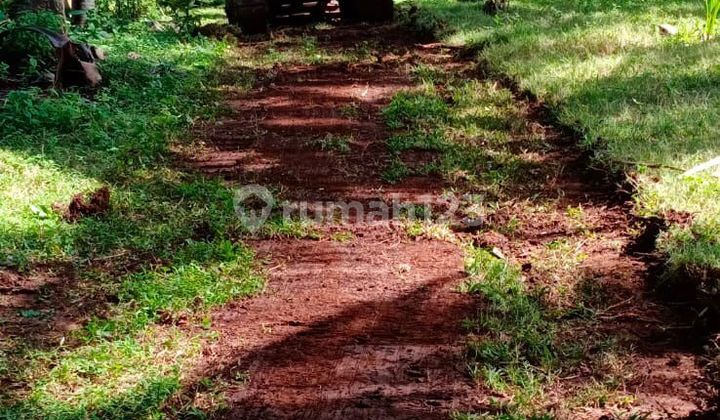 Land for Sale Location Antosari