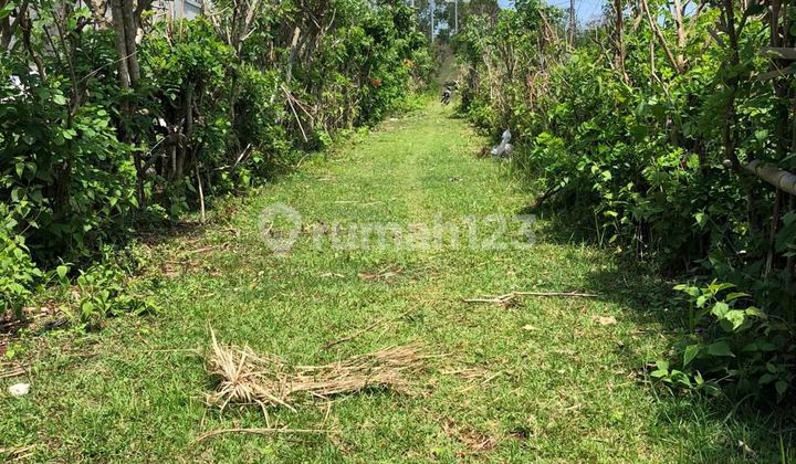 Villa for Sale in Umalas Location Villa for Sale in Umalas Location