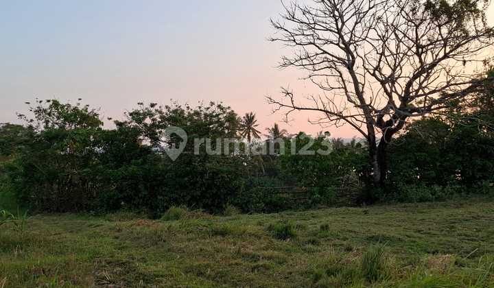 Land for Sale Location Klecung