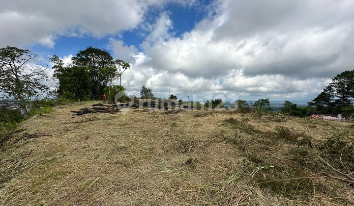 Land for Sale in Kintamani Location