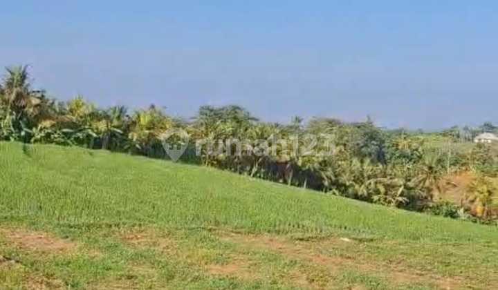 Land for Sale Antap Location