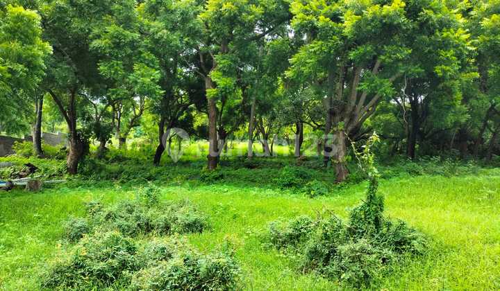 Tanah Jual Lokasi Tulamben