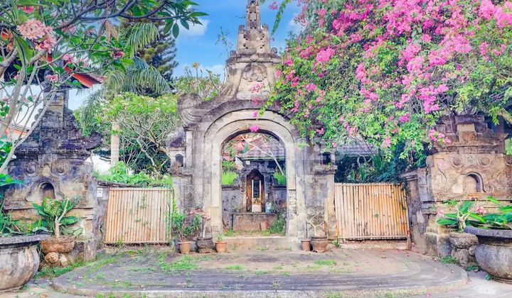 Tanah Jual Lokasi Ubud Tanah Jual Lokasi Ubud