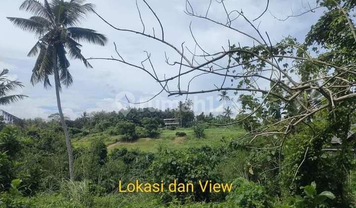 Land for Sale Location Batuan