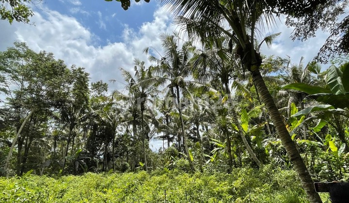 Tanah Jual Lokasi Keliki
