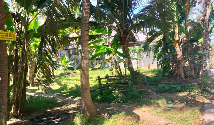 Tanah Jual Lokasi Saba