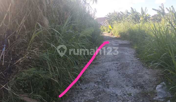 Land For Sale Location Seminyak