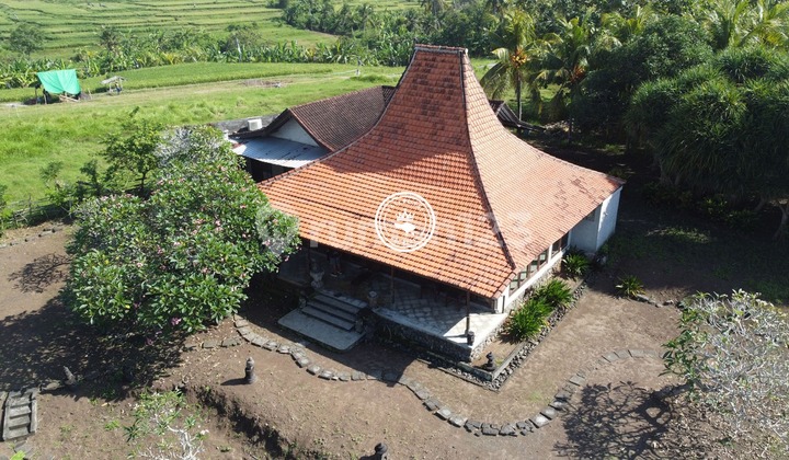 Tanah Jual Lokasi Yehembang Tanah Jual Lokasi Yehembang