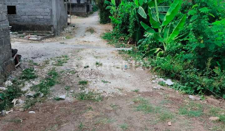 Tanah Jual Lokasi Kerobokan Tanah Jual Lokasi Kerobokan